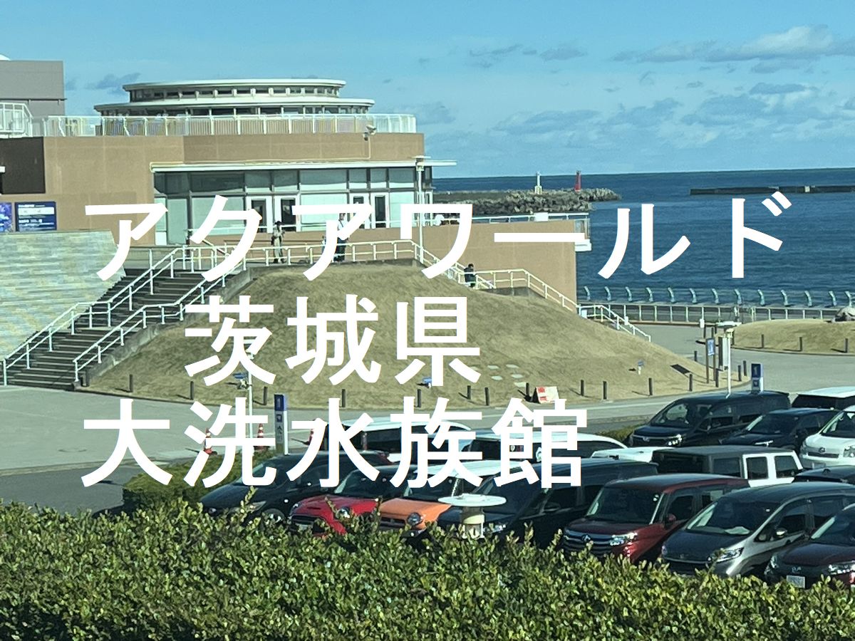 アクアワールド茨城県大洗水族館