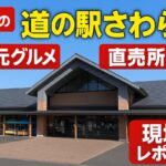 道の駅さわら